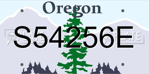 S54256E Oregon License Plate