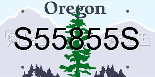S55855S Oregon License Plate