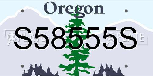 S58555S Oregon License Plate