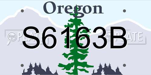 S6163B Oregon License Plate