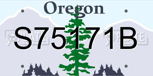 S75171B Oregon License Plate