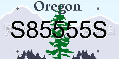 S85555S Oregon License Plate