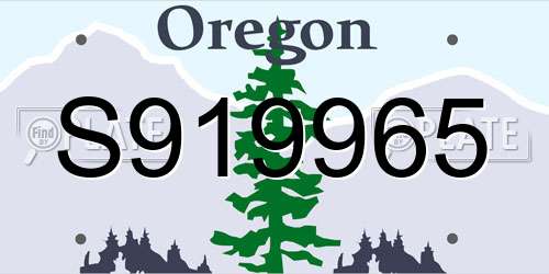 S919965 Oregon License Plate