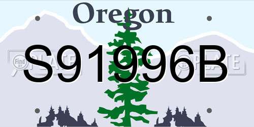 S91996B Oregon License Plate