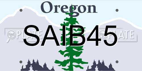 SAIB45 Oregon License Plate