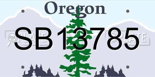 SB13785 Oregon License Plate