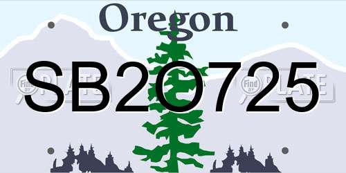 SB2O725 Oregon License Plate
