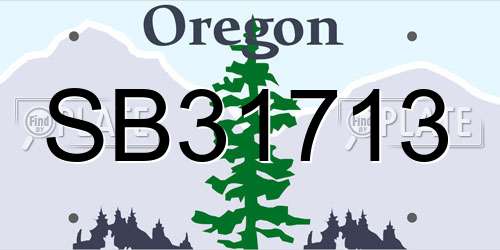 SB31713 Oregon License Plate