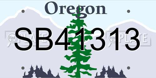 SB41313 Oregon License Plate