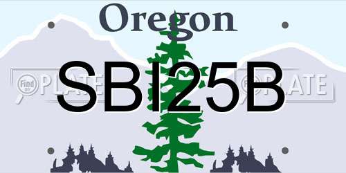 SBI25B Oregon License Plate