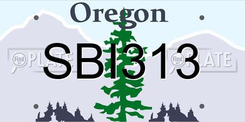 SBI313 Oregon License Plate