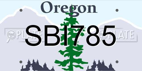 SBI785 Oregon License Plate
