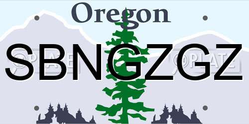 SBNGZGZ Oregon License Plate