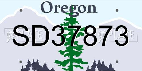 SD37873 Oregon License Plate