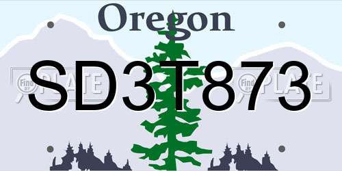 SD3T873 Oregon License Plate