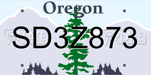 SD3Z873 Oregon License Plate