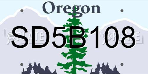 SD5B108 Oregon License Plate