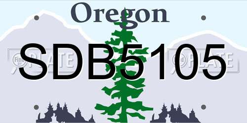 SDB5105 Oregon License Plate