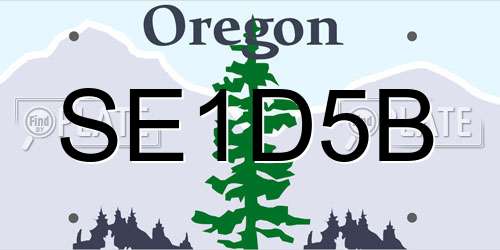 SE1D5B Oregon License Plate