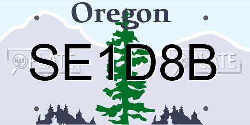 SE1D8B Oregon License Plate