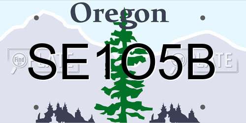 SE1O5B Oregon License Plate
