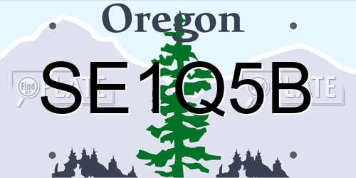 SE1Q5B Oregon License Plate