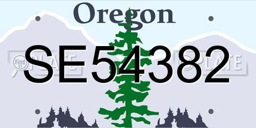 SE54382 Oregon License Plate