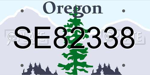 SE82338 Oregon License Plate