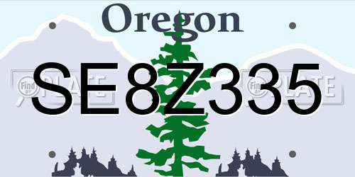 SE8Z335 Oregon License Plate