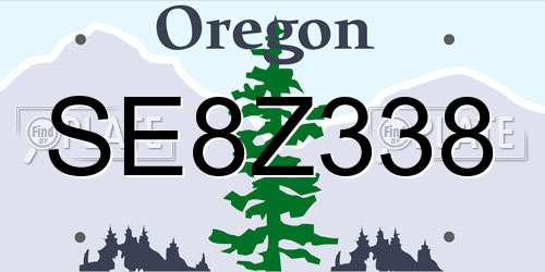 SE8Z338 Oregon License Plate
