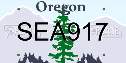 SEA917 Oregon License Plate