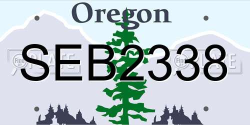SEB2338 Oregon License Plate