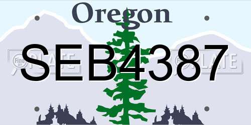 SEB4387 Oregon License Plate