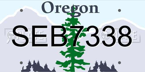SEB7338 Oregon License Plate