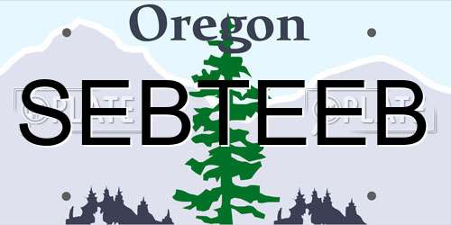 SEBTEEB Oregon License Plate