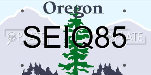 SEIQ85 Oregon License Plate