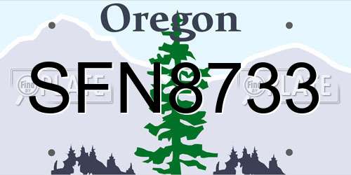 SFN8733 Oregon License Plate