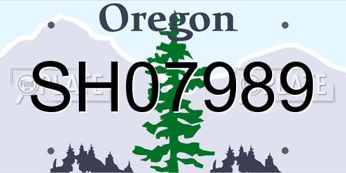 SH07989 Oregon License Plate