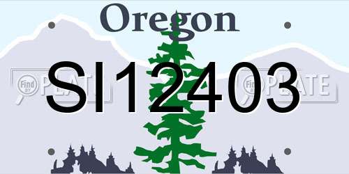 SI12403 Oregon License Plate