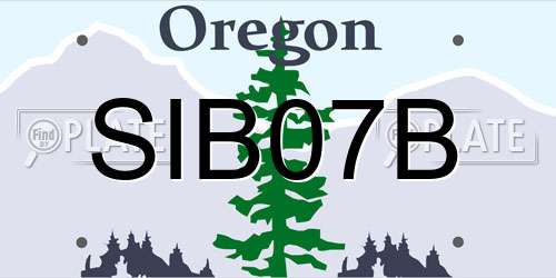 SIB07B Oregon License Plate