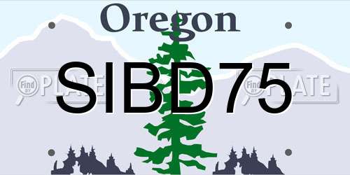 SIBD75 Oregon License Plate