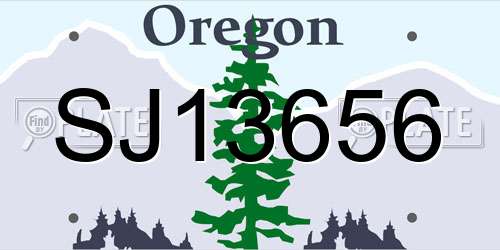 SJ13656 Oregon License Plate