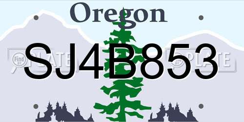SJ4B853 Oregon License Plate