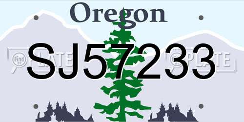 SJ57233 Oregon License Plate