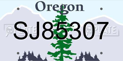 SJ85307 Oregon License Plate
