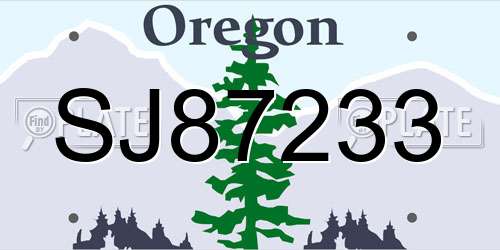 SJ87233 Oregon License Plate