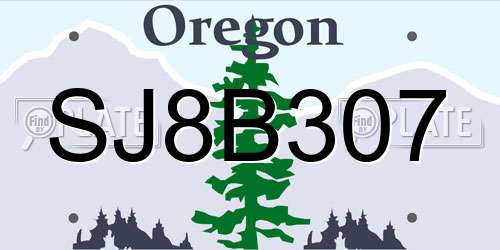 SJ8B307 Oregon License Plate