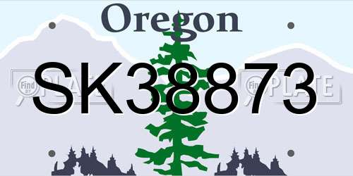 SK38873 Oregon License Plate