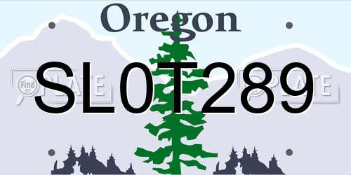 SL0T289 Oregon License Plate