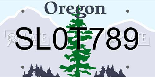 SL0T789 Oregon License Plate